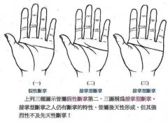 断掌的种类：假型断掌和接掌型断掌